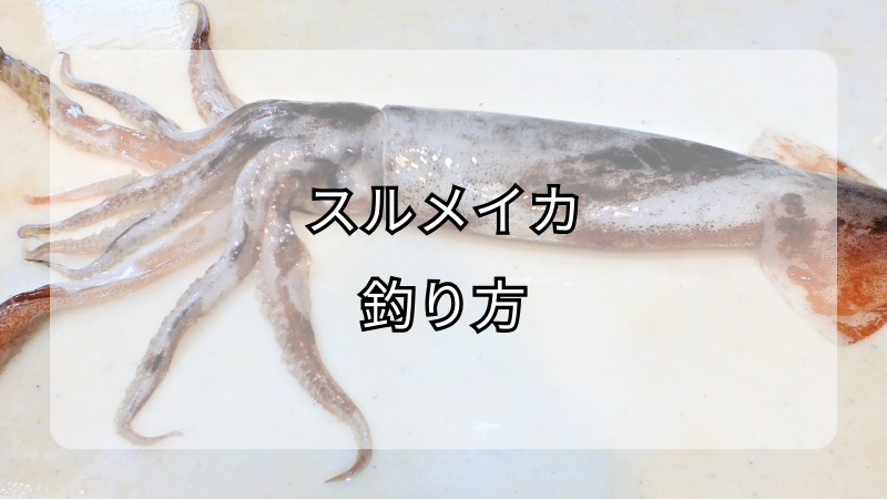 スルメイカの釣り方：イカ釣りの定番テクニックをマスター