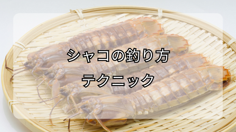 シャコの釣り方テクニック：成功へのポイントと方法論