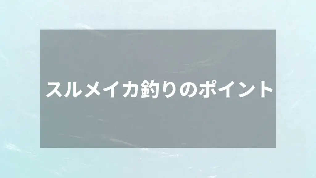 スルメイカ釣りのポイント