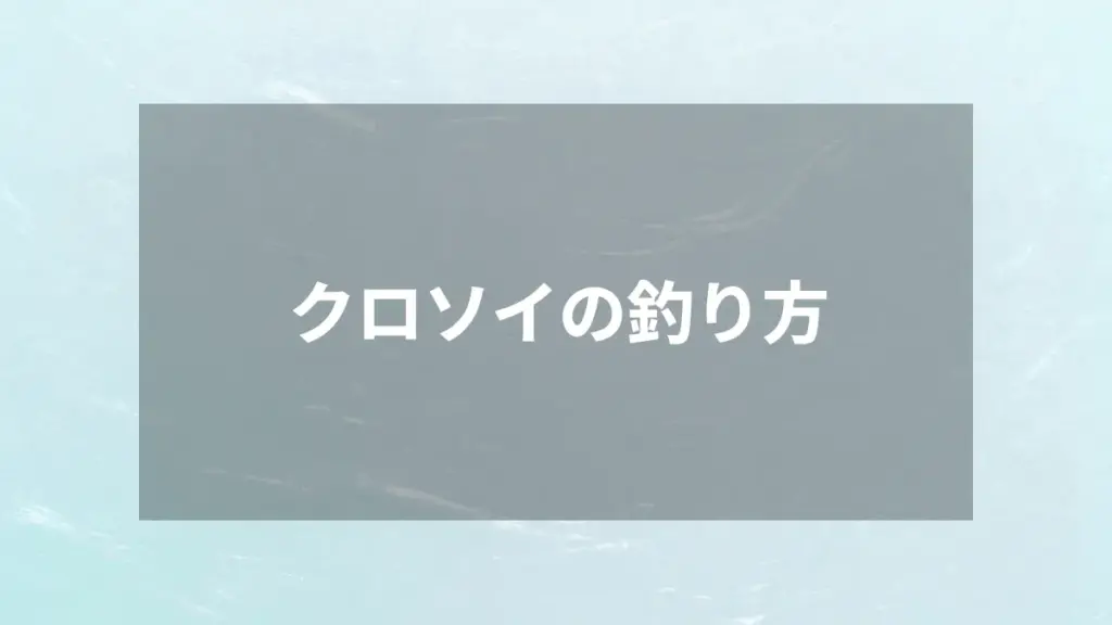 クロソイの釣り方