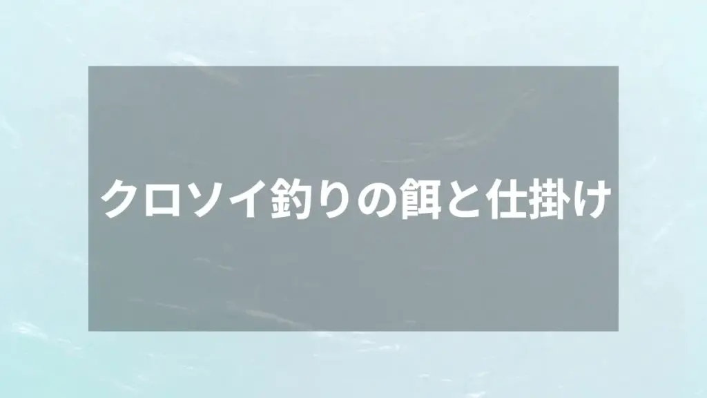 クロソイ釣りの餌と仕掛け