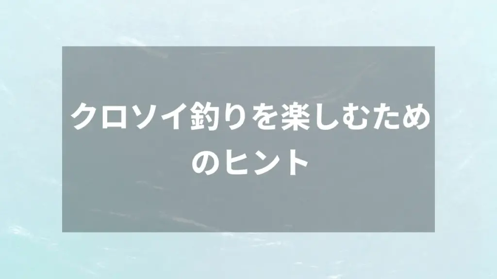 クロソイ釣りを楽しむためのヒント
