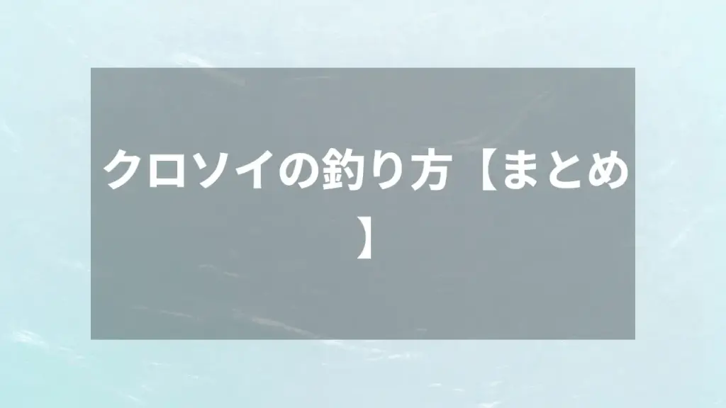 クロソイの釣り方【まとめ】
