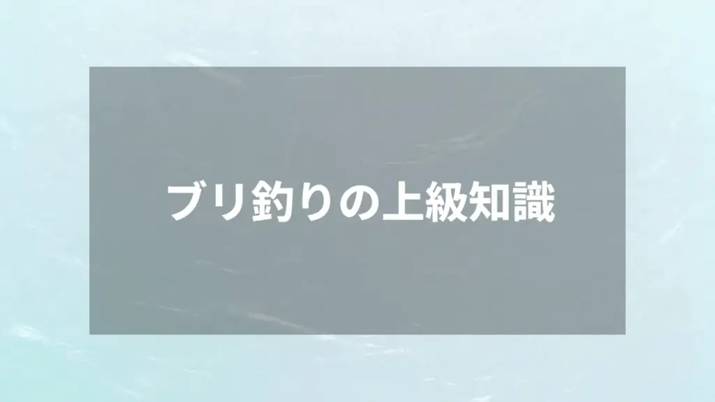 ブリ釣りの上級知識